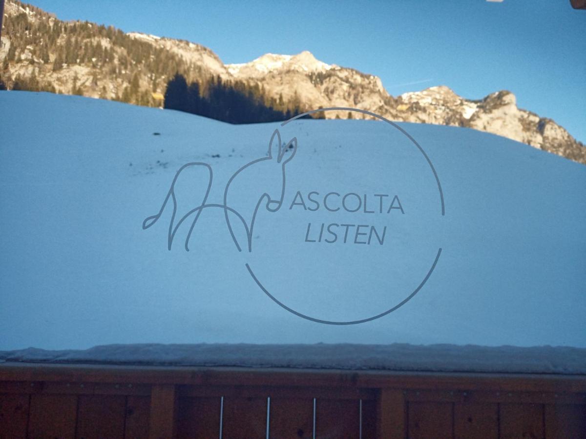 Maison Boutique Fior D'Alpe Sappada Εξωτερικό φωτογραφία